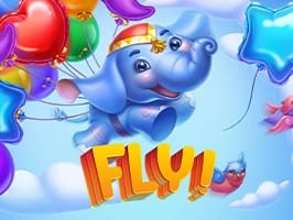 Fly screenshot