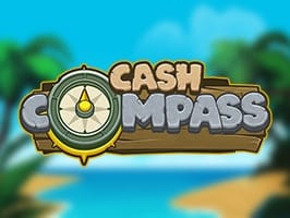 Cash Compass screenshot